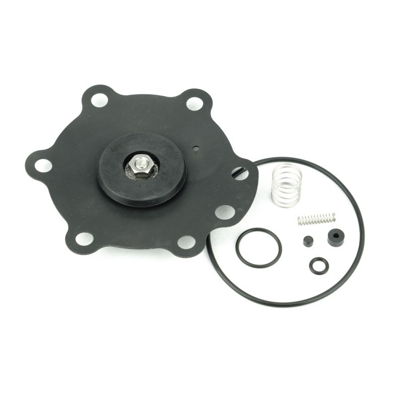 PMP Repair Kit for Wayne® Ovation™2 Hi-Flow 1-1/2” Valves. PMP 80181, OEM WP000372-0001, WP000779-0001, WP000779-0002, XLG201550.