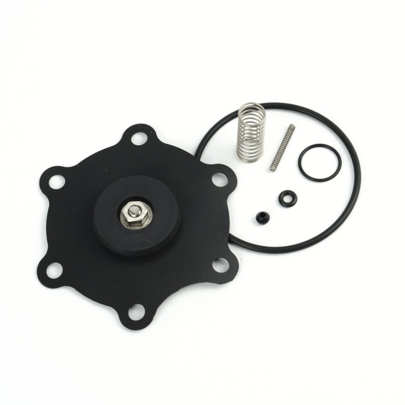 PMP Repair Kit for Wayne® 1 1/2" HS3 Valve. PMP 80188.